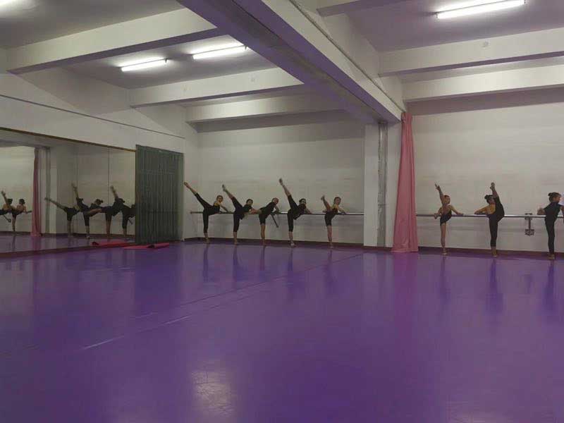湖南邵阳第一中学舞蹈室地板