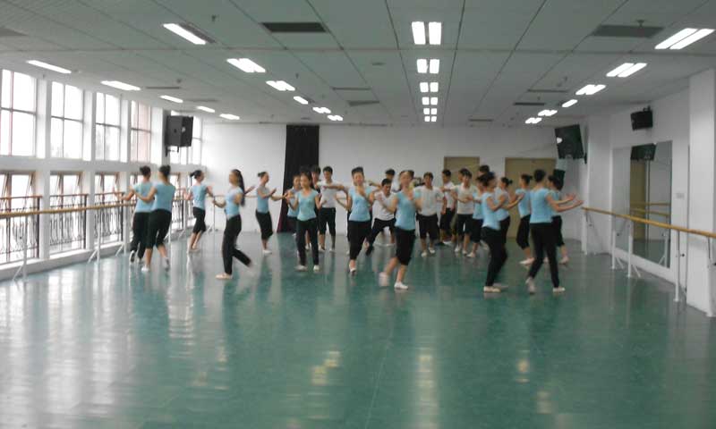 河北保定市河北大学艺术学院舞蹈地板 河北保定市河北大学艺术学院舞蹈地板