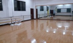 江西省宜春市外国语学校舞蹈地板