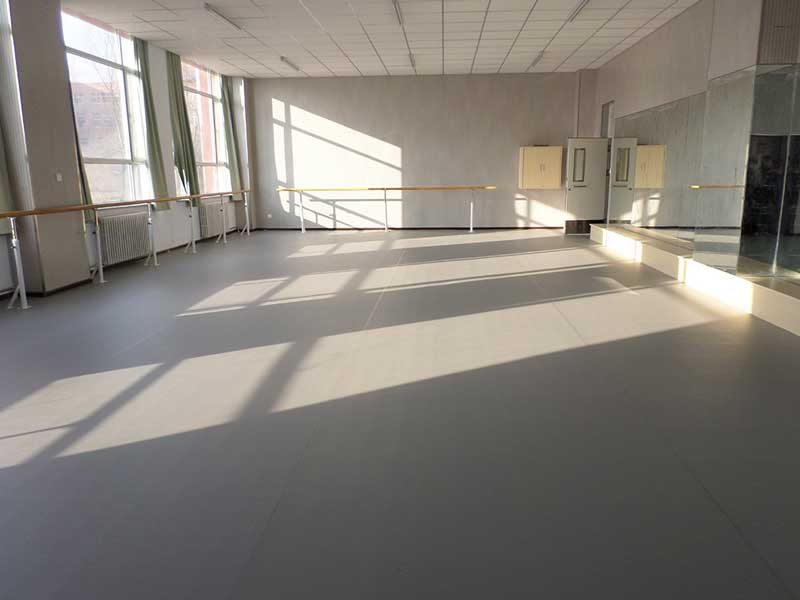 河北石家庄荔枝纹运动地板 河北石家庄荔枝纹运动地板